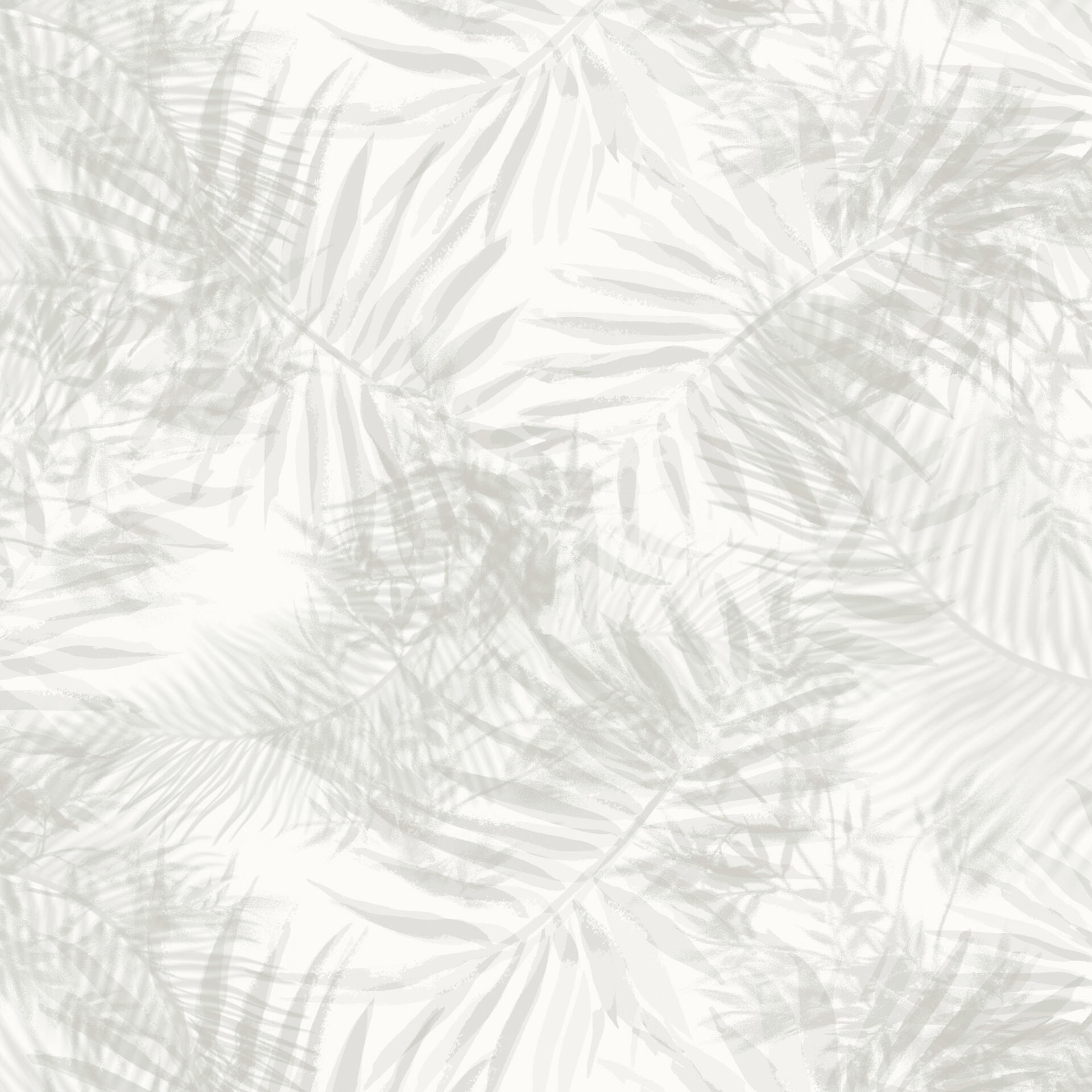 palm-shadow Palm Shadow