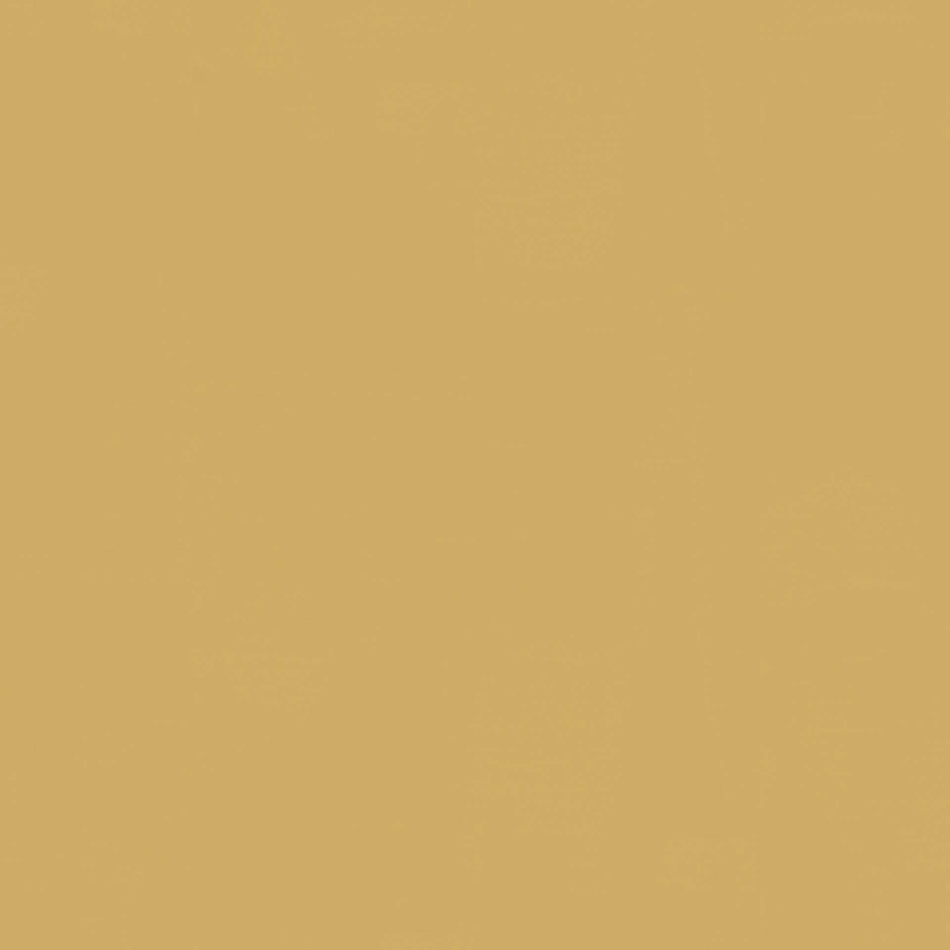 112 Linowall Honey