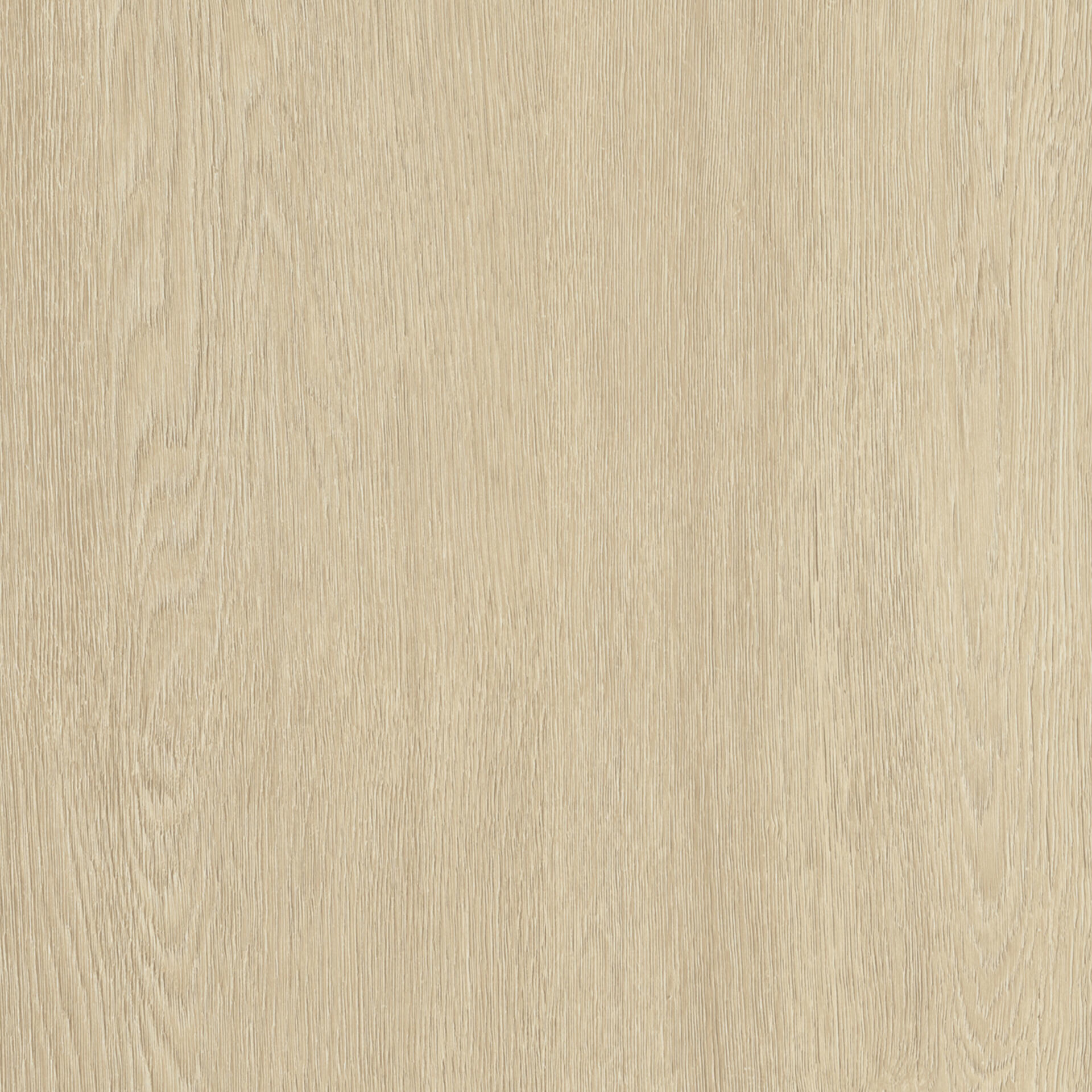 oak-tree-safe-natural Oak Tree Safe Natural