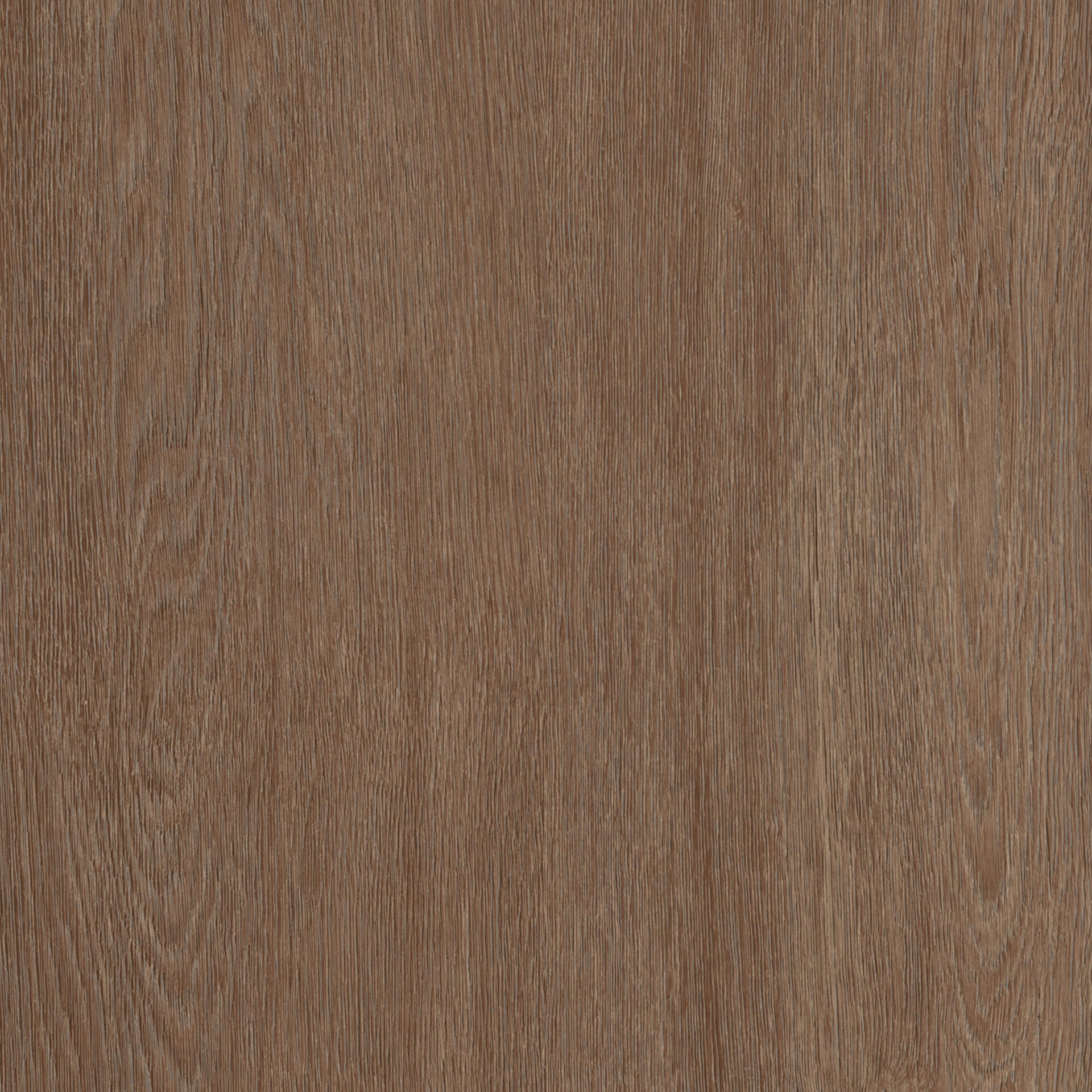 oak-tree-safe-warm-brown Oak Tree Safe Warm Brown