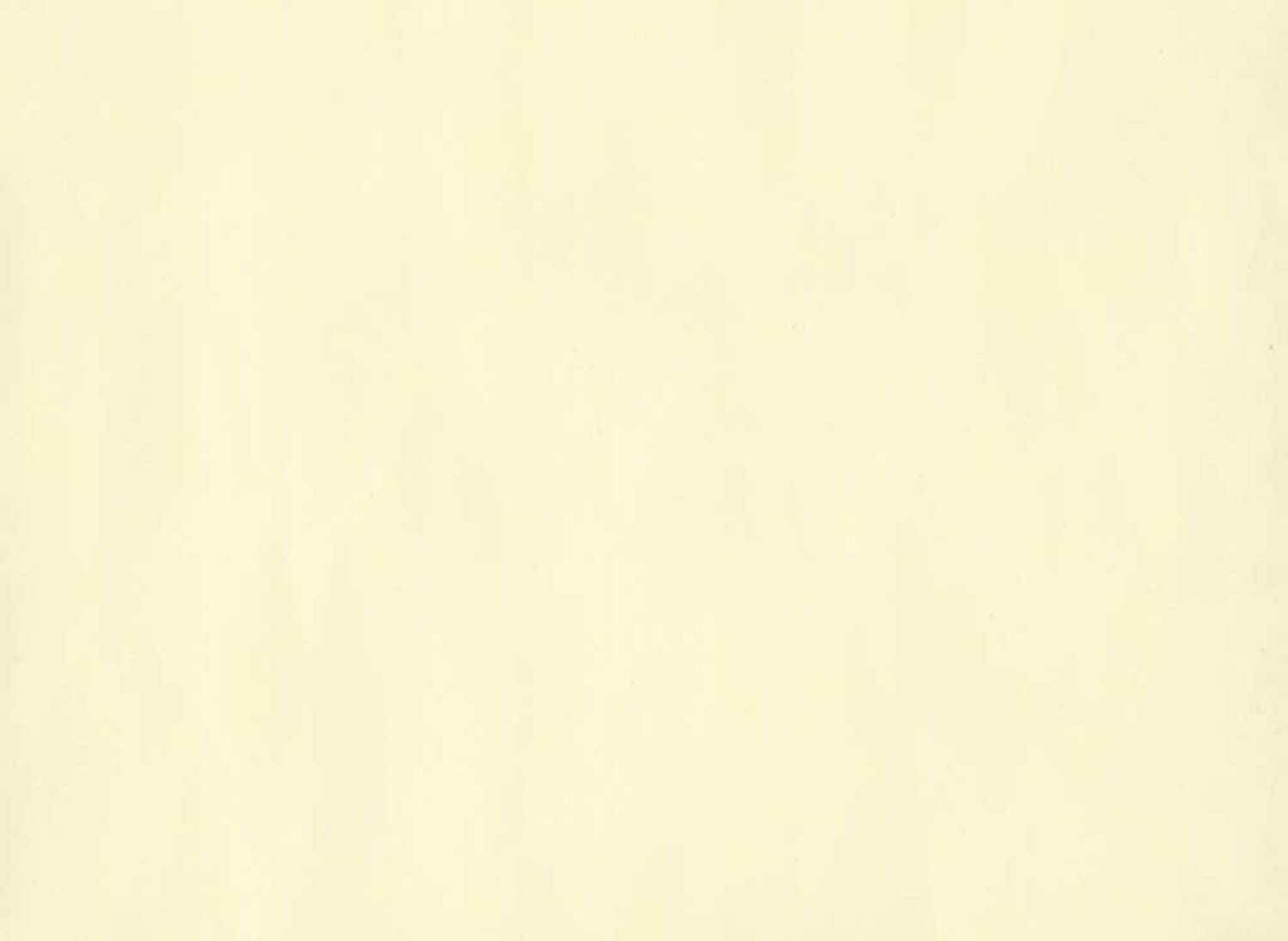 0005 YELLOW
