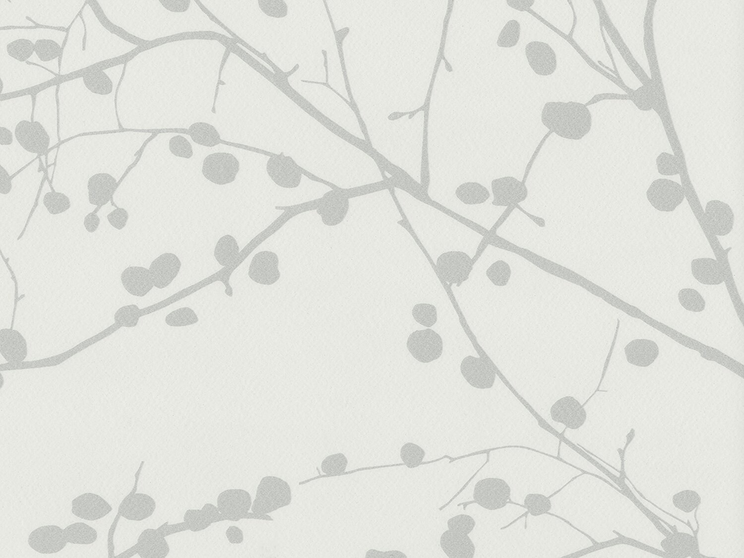 8005 BLOSSOM SNOW PEARL