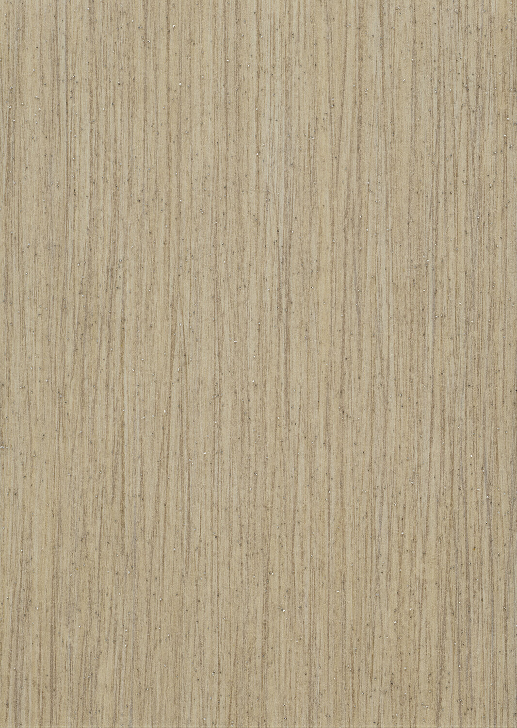6094 INFINITY SAND